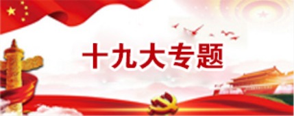 党的十九大专题