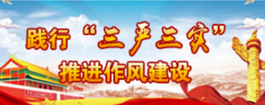 三严三实